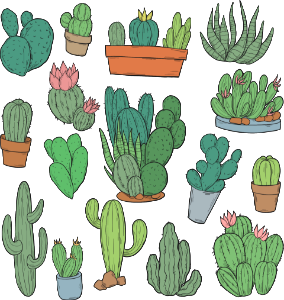 Cactus. Free illustration for personal and commercial use.