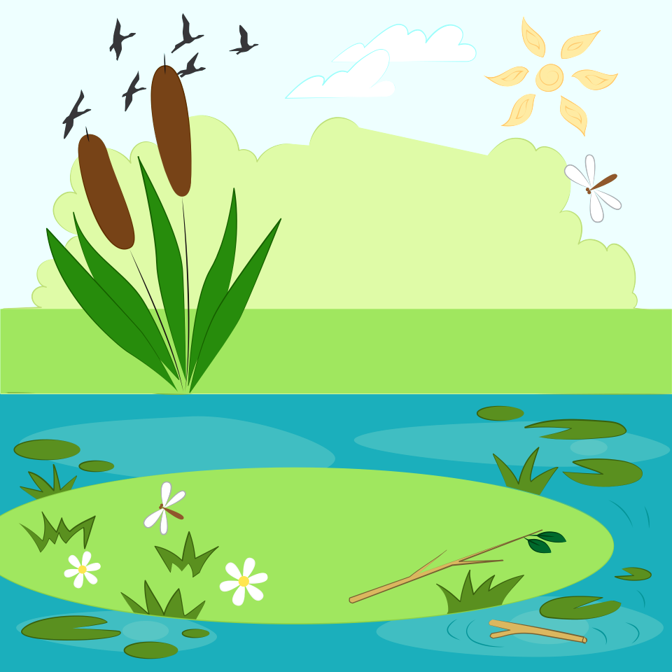 Pond with reed | Creazilla