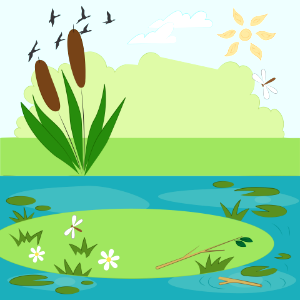 Pond with reed. Free illustration for personal and commercial use.