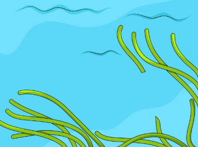 seaweed underwater clipart