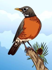 American Robin on the Branch. Free illustration for personal and commercial use.