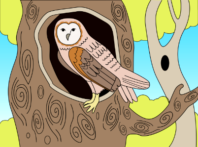 Barn owl. Free illustration for personal and commercial use.