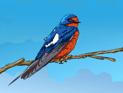 Barn Swallow on the Branch. Free illustration for personal and commercial use.