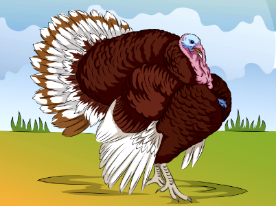 Bourbon Red Turkey. Free illustration for personal and commercial use.