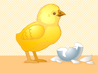 Chick. Free illustration for personal and commercial use.