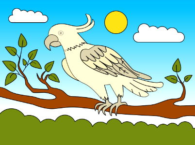 Cockatoo. Free illustration for personal and commercial use.