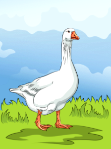 Domestic Goose. Free illustration for personal and commercial use.