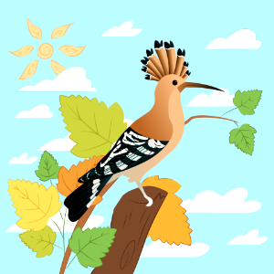 Eurasian hoopoe. Free illustration for personal and commercial use.