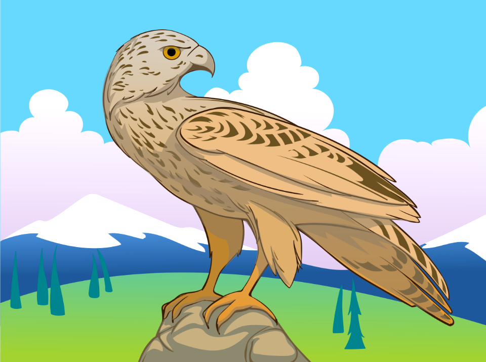 Hawk Free Stock Illustrations Creazilla