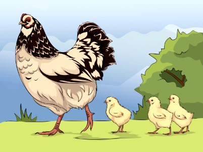 Hen and Chicks. Free illustration for personal and commercial use.