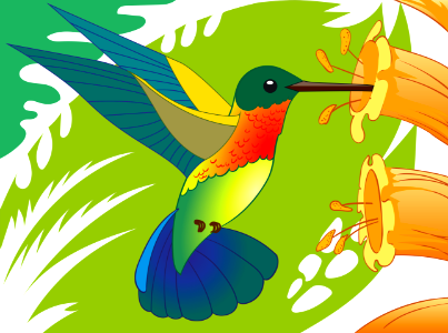 Hummingbird. Free illustration for personal and commercial use.