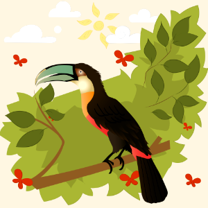 Red-billed Toucan. Free illustration for personal and commercial use.