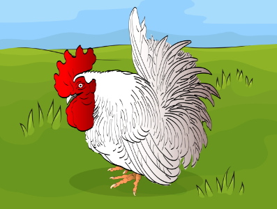 Rooster. Free illustration for personal and commercial use.