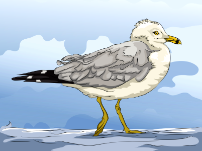 Seagull. Free illustration for personal and commercial use.