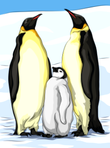 The emperor penguins. Free illustration for personal and commercial use.