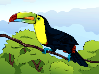 Toucan-bird. Free illustration for personal and commercial use.