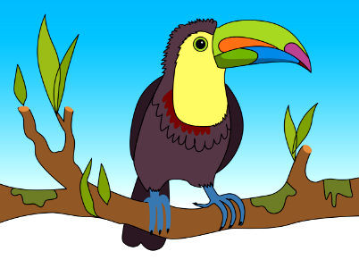 Toucan. Free illustration for personal and commercial use.