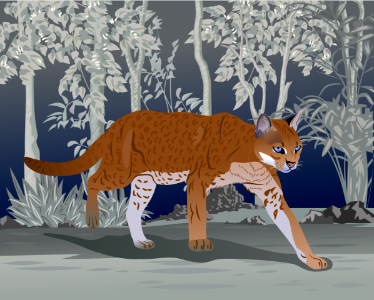 African Golden Cat. Free illustration for personal and commercial use.