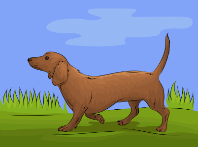 Dachshund. Free illustration for personal and commercial use.