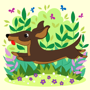 Dachshund. Free illustration for personal and commercial use.