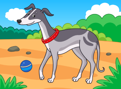 Greyhound. Free illustration for personal and commercial use.