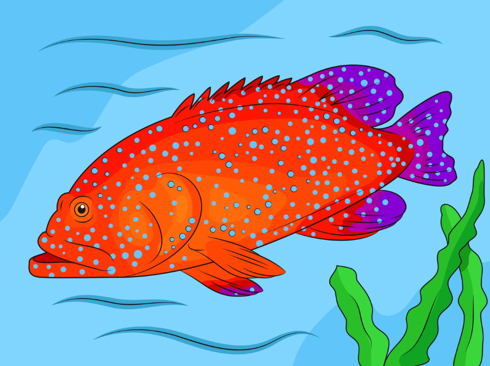 Blue Spotted Grouper. Free illustration for personal and commercial use.