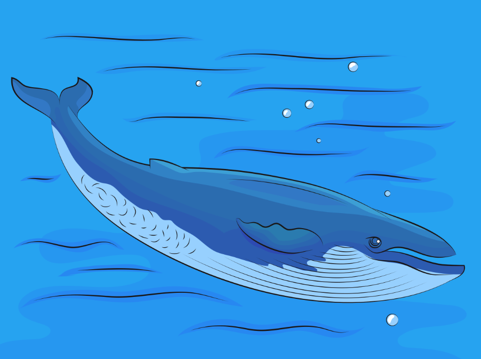 Blue Whale. Free illustration for personal and commercial use.