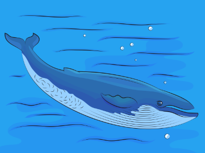 Blue Whale. Free illustration for personal and commercial use.