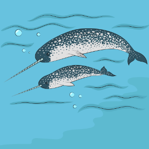 Narwhal. Free illustration for personal and commercial use.