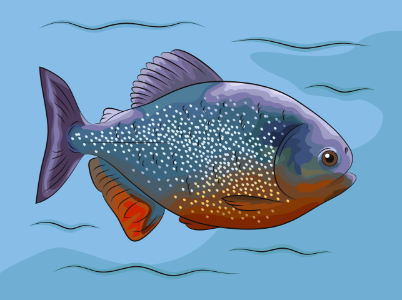 Piranha Rouge. Free illustration for personal and commercial use.