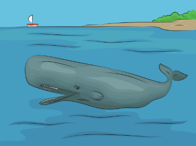 Sperm Whale. Free illustration for personal and commercial use.