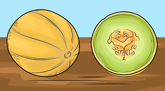 Melons on the Table. Free illustration for personal and commercial use.