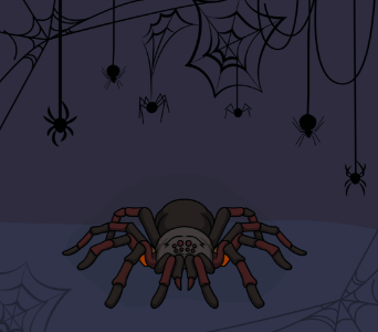 Spider. Free illustration for personal and commercial use.