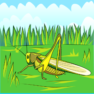Cricket. Free illustration for personal and commercial use.