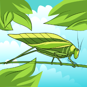 Katydid Leaf Bug. Free illustration for personal and commercial use.