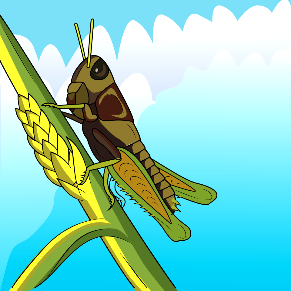 Young Grasshopper. Free illustration for personal and commercial use.