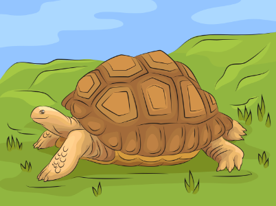 Aldabra Giant Tortoise. Free illustration for personal and commercial use.