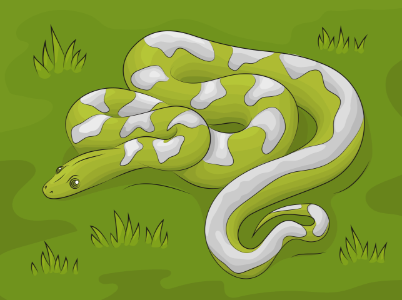 Boa Snake. Free illustration for personal and commercial use.