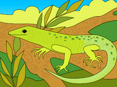 Lizard. Free illustration for personal and commercial use.