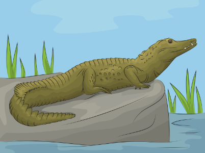 Nile crocodile. Free illustration for personal and commercial use.