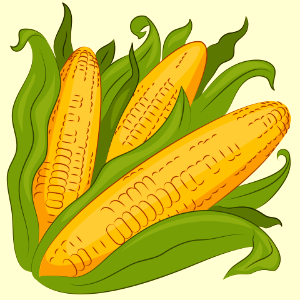 Corn. Free illustration for personal and commercial use.