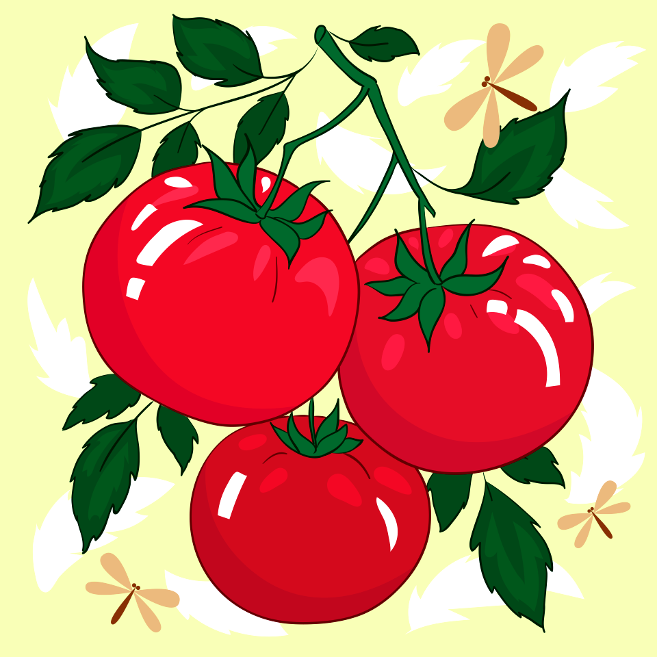 tomato illustration free download