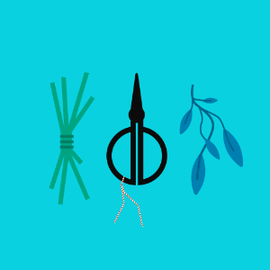 Food herbs scissors sage. Free illustration for personal and commercial use.