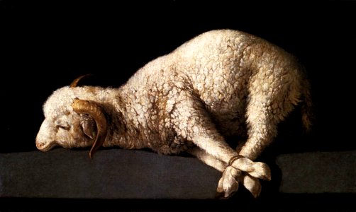 zurbaran agnus dei 1640. Free illustration for personal and commercial use.