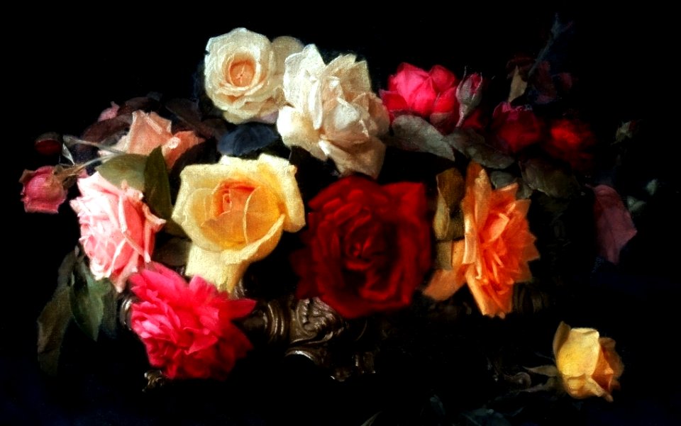 roses for San Valentino