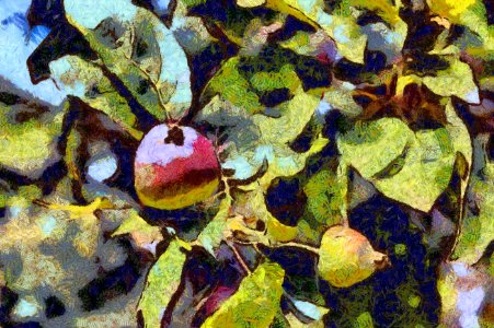 apple vangogh