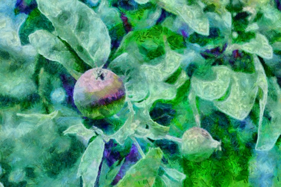 apple Manet