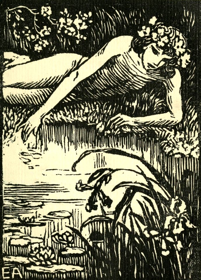 Narcissus (Alder)