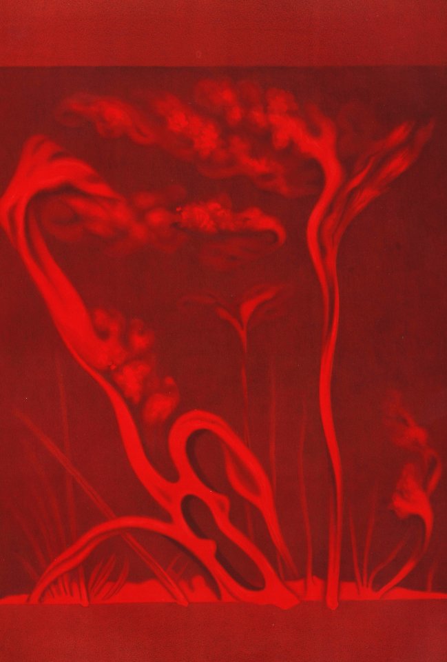 Solar Prominences