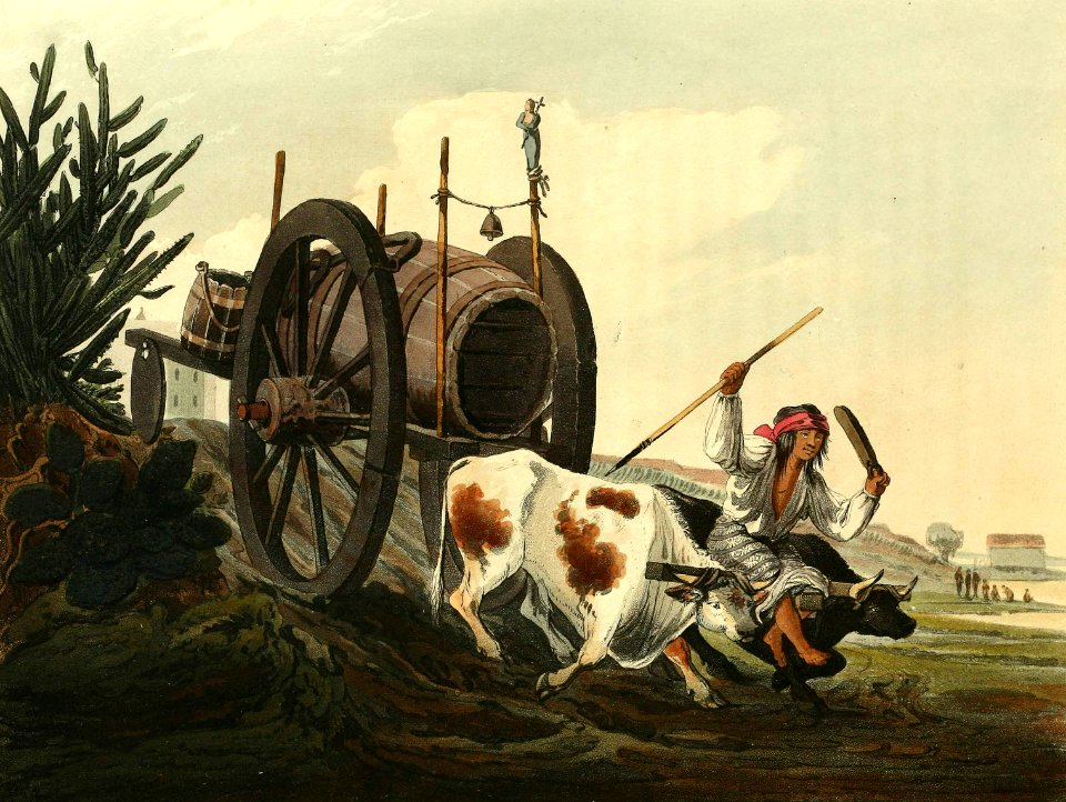 Water Cart